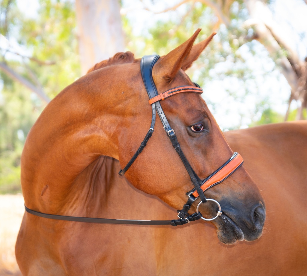 Geovanni Snaffle Bridle