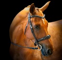 Lina Snaffle Bridle