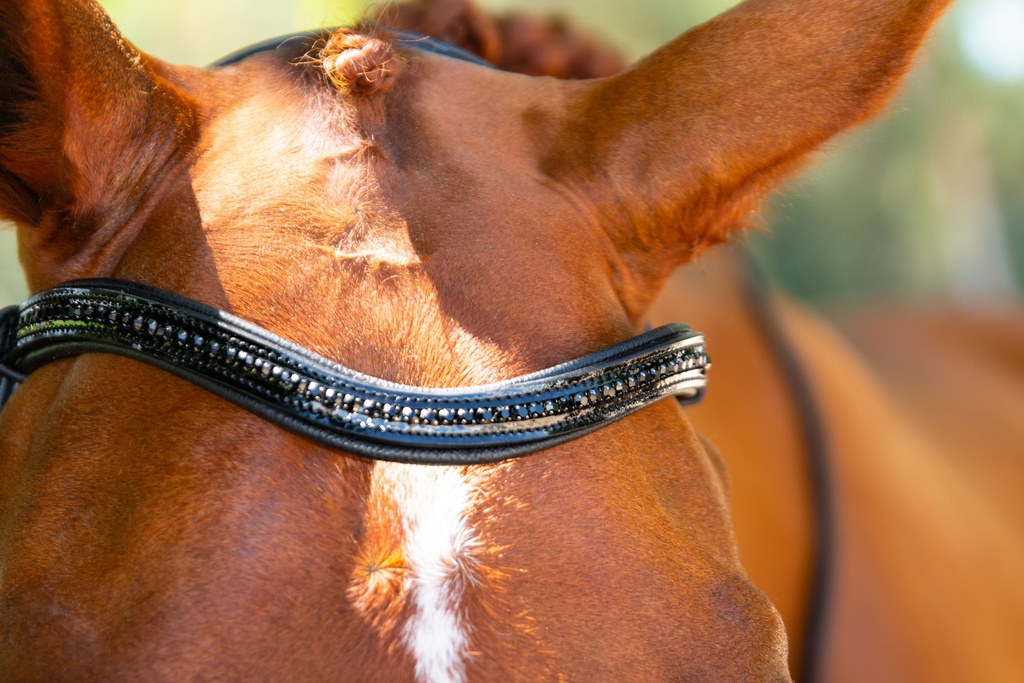 Lina Snaffle Bridle