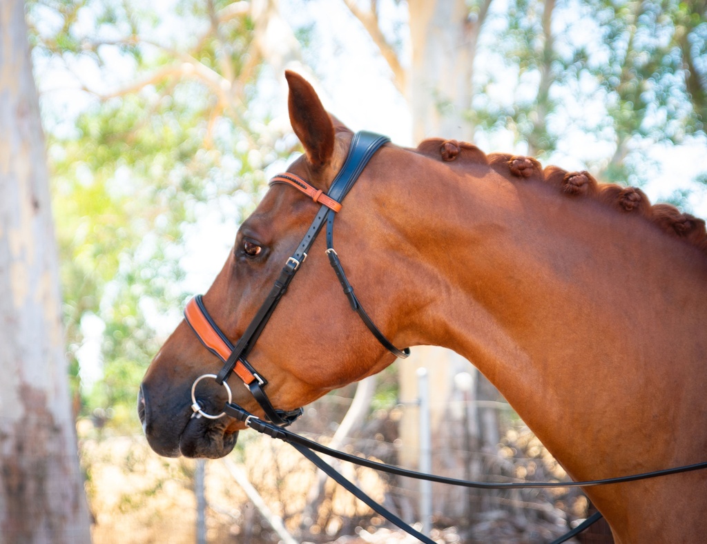 Geovanni Snaffle Bridle