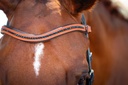 Geovanni Snaffle Bridle