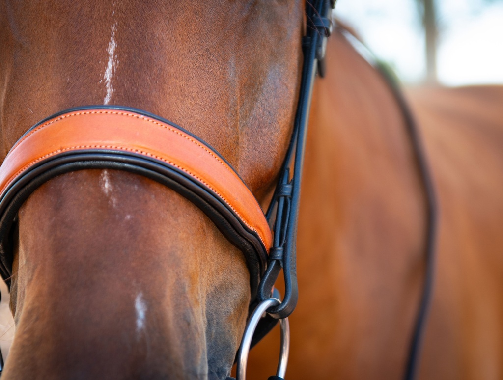 Geovanni Snaffle Bridle