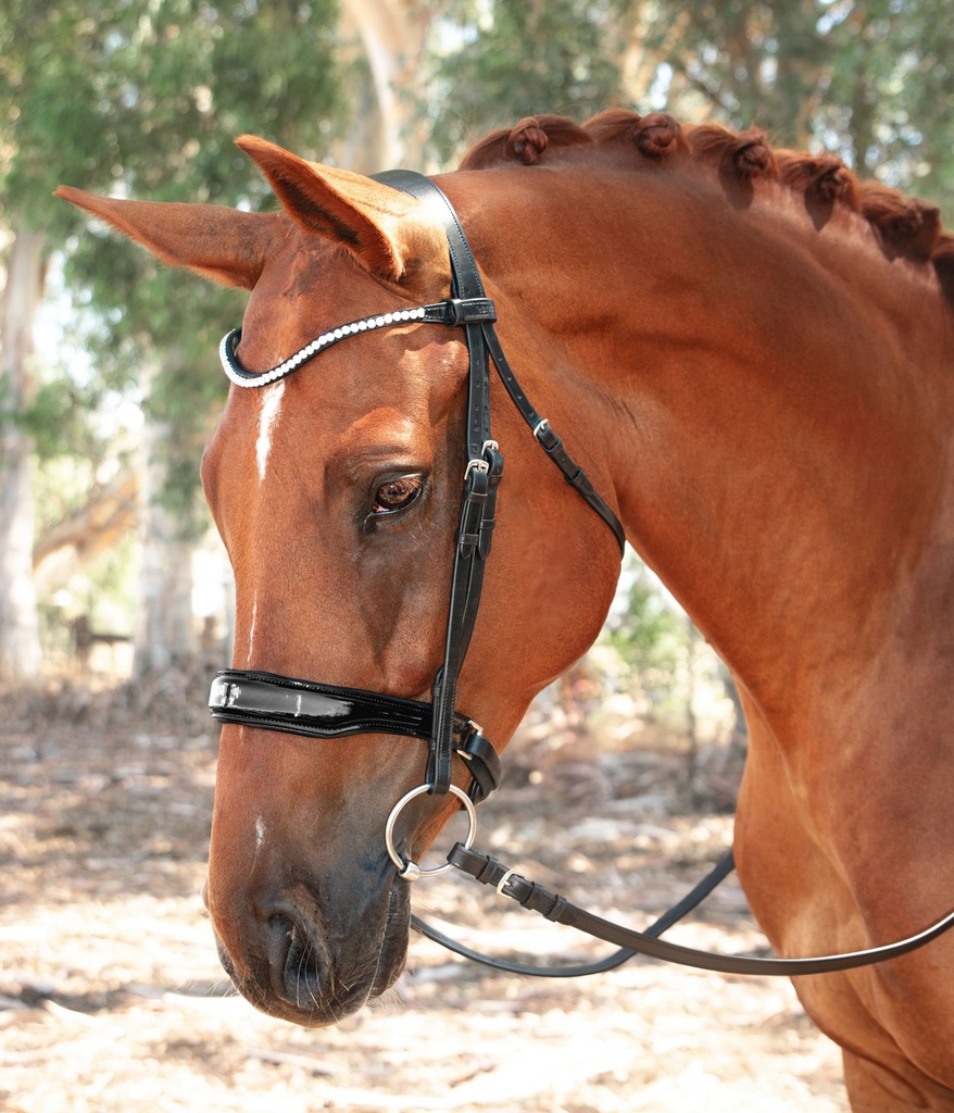 Estella Snaffle Bridle