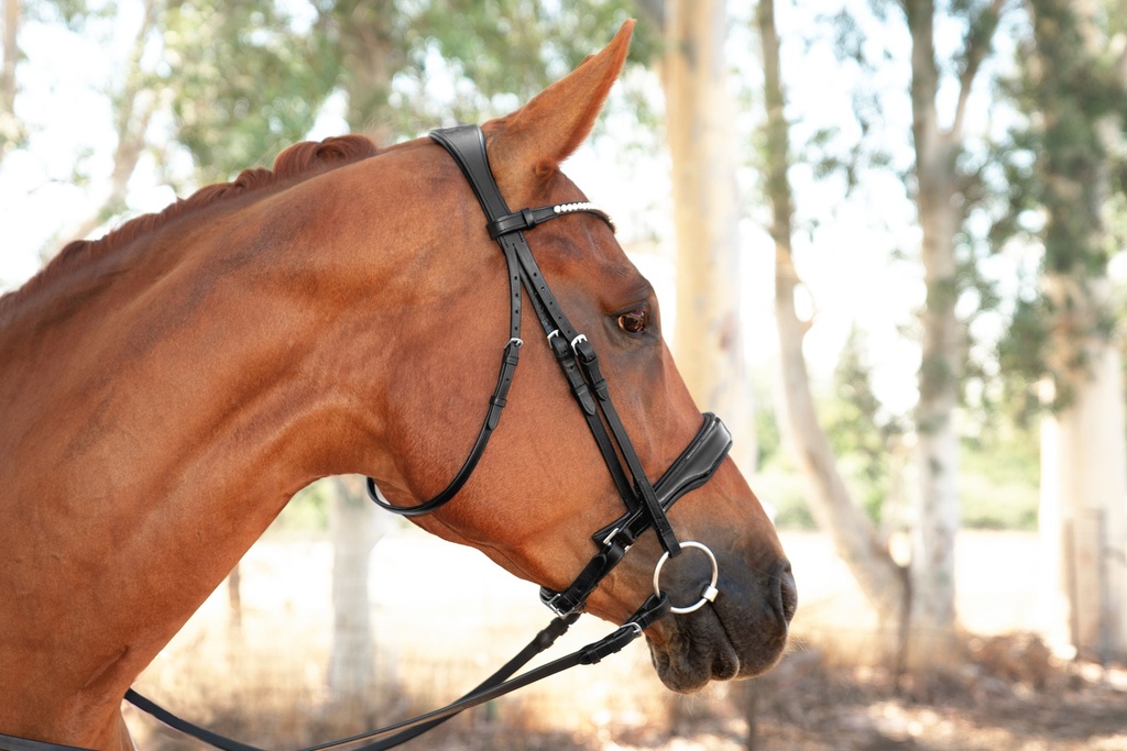 Estella Snaffle Bridle