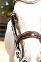 Gabrielle Snaffle Bridle