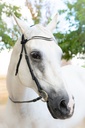 Cabella NosebandLess Snaffle Bridle