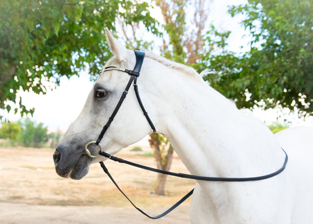 Cabella NosebandLess Snaffle Bridle