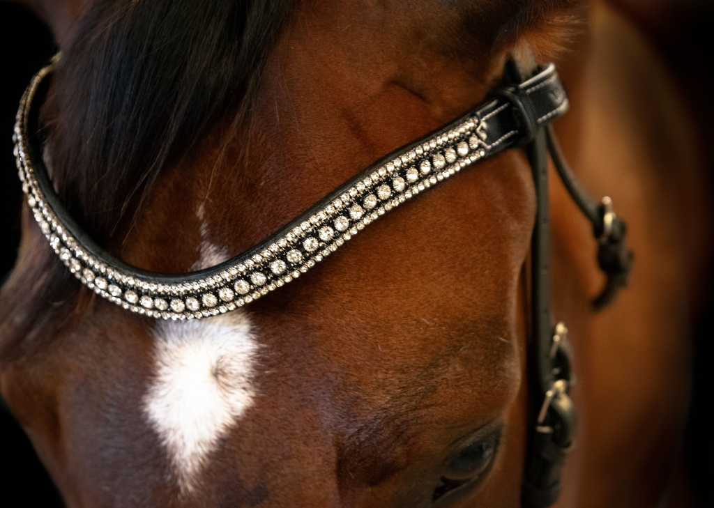 Juliette Snaffle Bridle