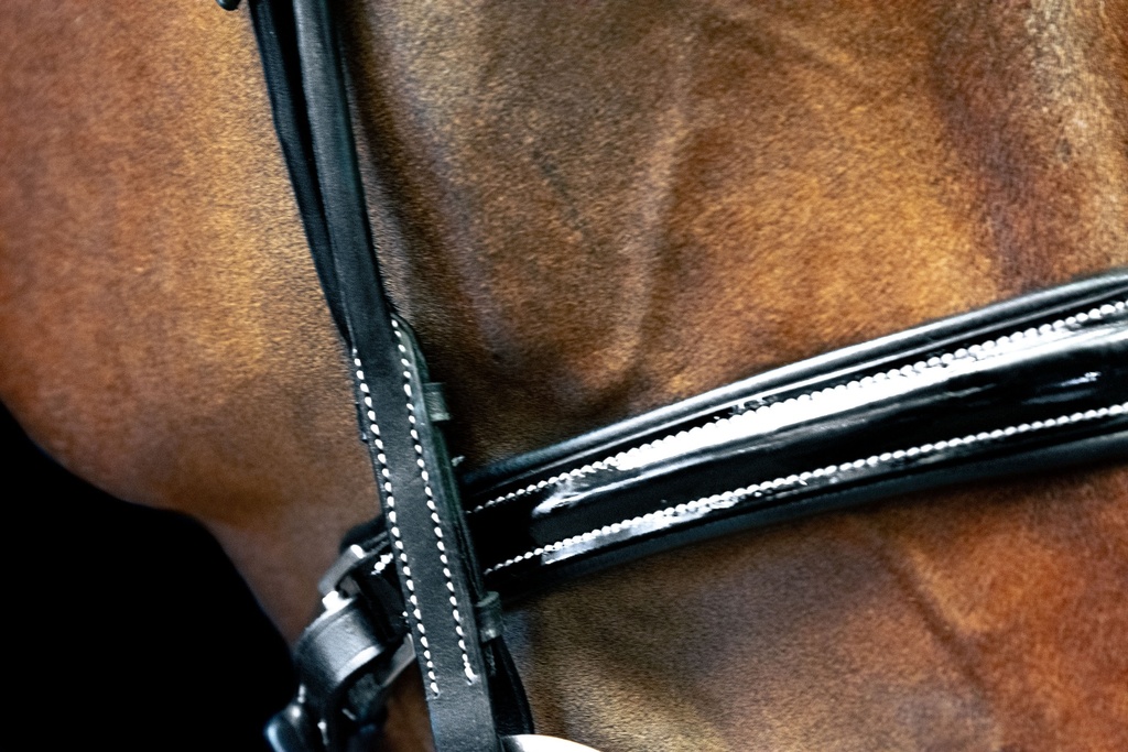 Juliette Snaffle Bridle