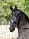 LIOR Snaffle Bridle