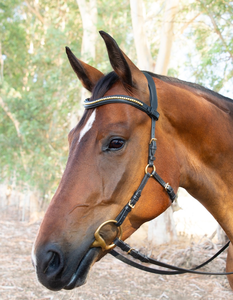 ALESSIO Snaffle Bridle