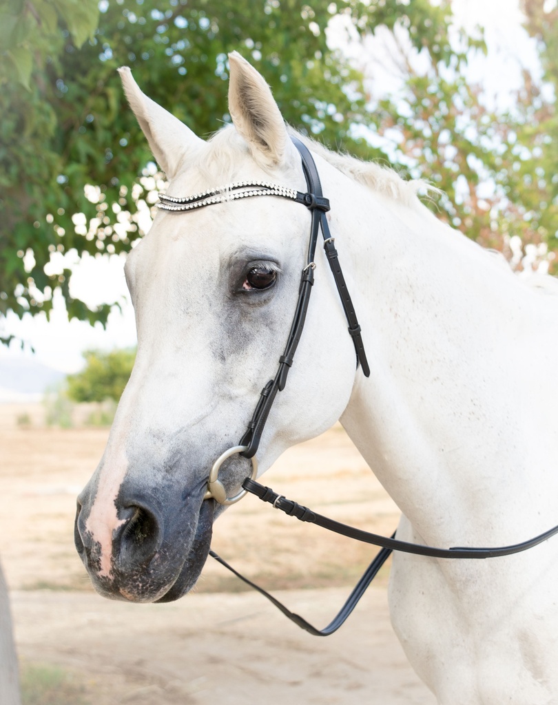 CABELLA Snaffle Bridle