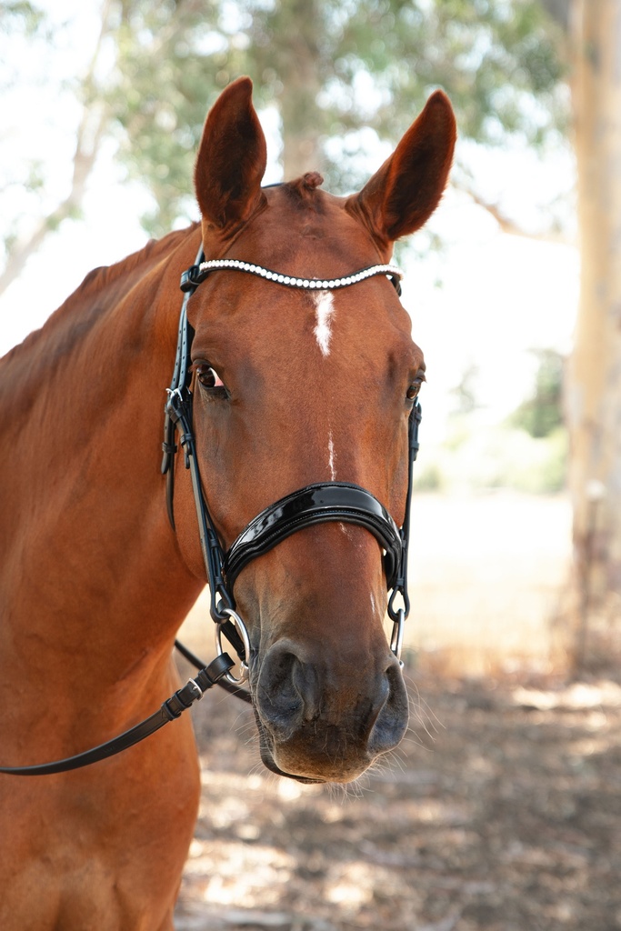 ESTELLA Snaffle Bridle