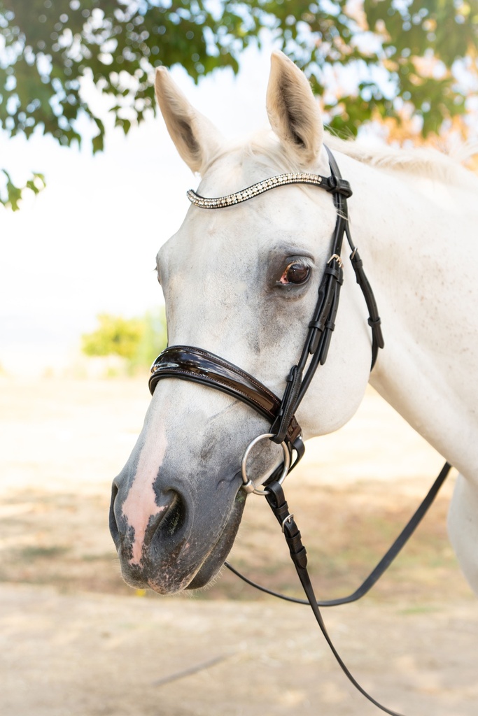 GABRIELLE Snaffle Bridle