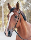 Sienna Snaffle Bridle