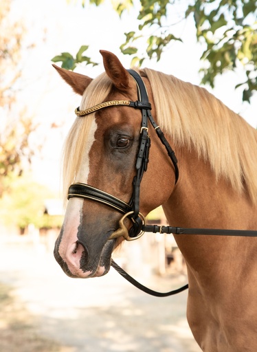 MALEA Snaffle Bridle