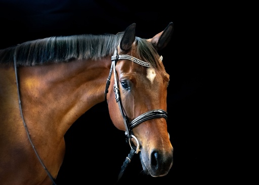 JULIETTE Snaffle Bridle