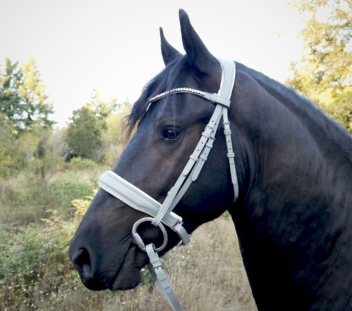 Luna - Limited Edition Snaffle Bridle