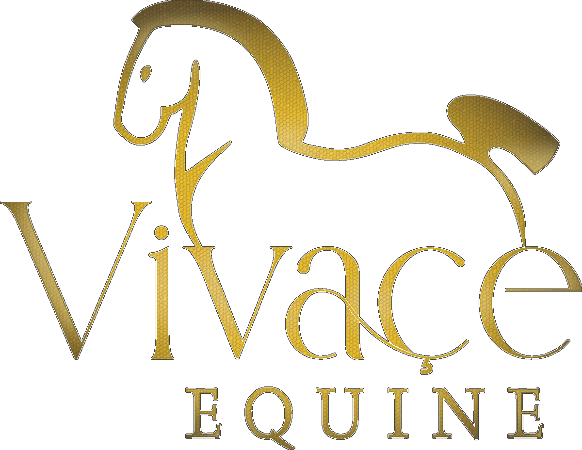 Vivace Equine